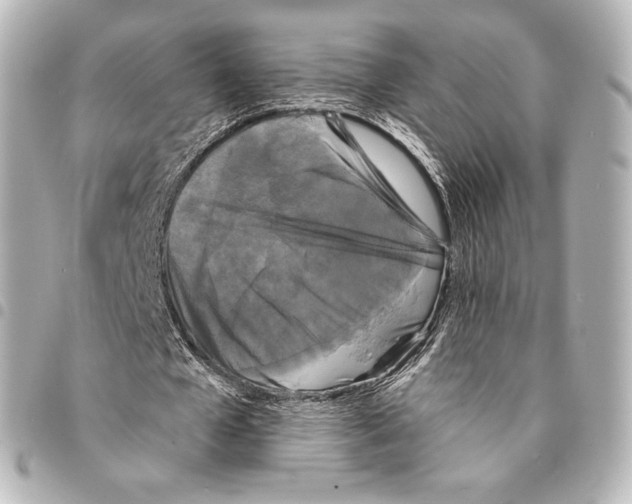X0000094960577200712271721