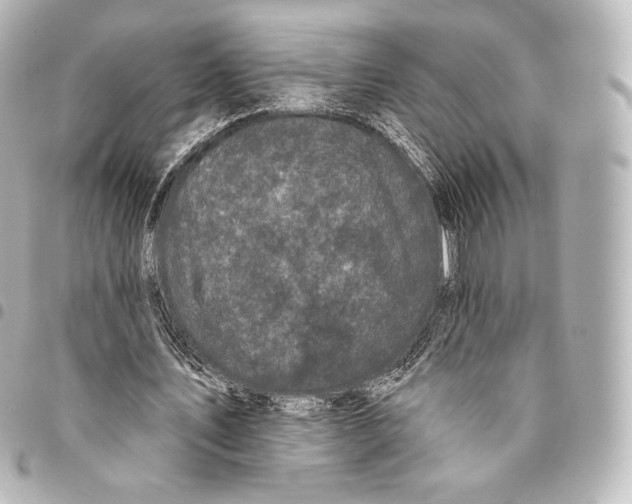 X0000094960579200712271721