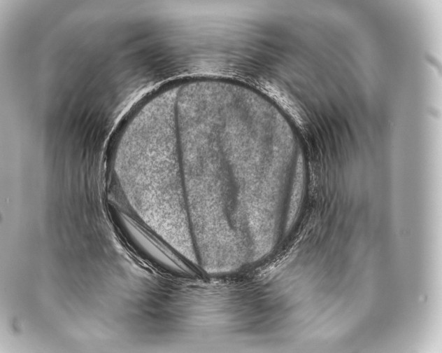 X0000094960580200712271721