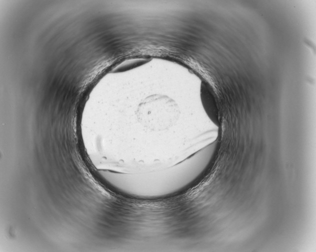 X0000094960581200712271721