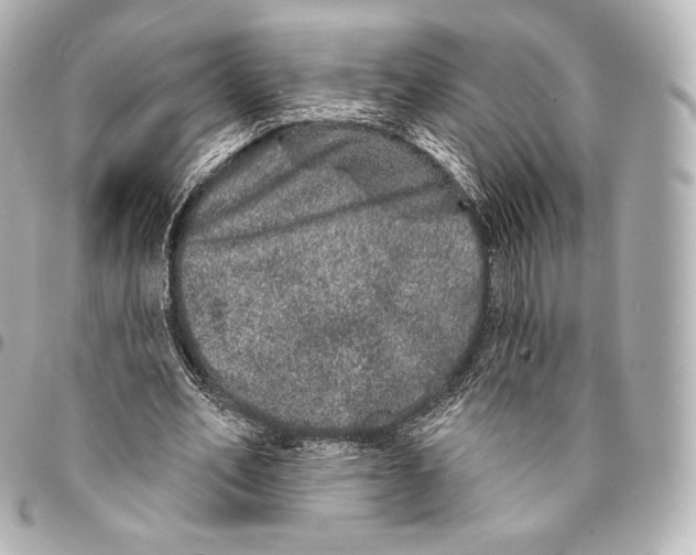 X0000094960582200712271721