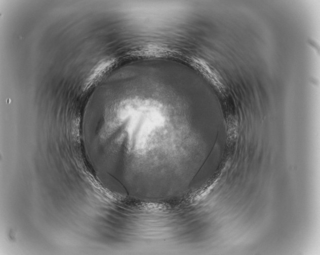 X0000094960585200712271721