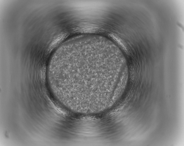 X0000094960586200712271721