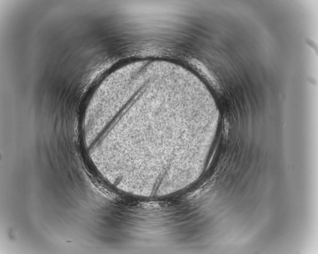 X0000094960588200712271721