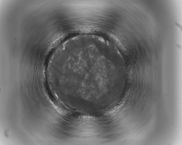 X0000094960590200712271721