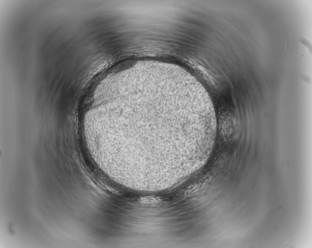 X0000094960591200712271721