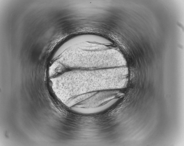 X0000094960592200712271721