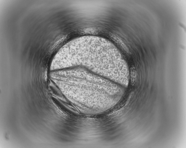 X0000094960593200712271721
