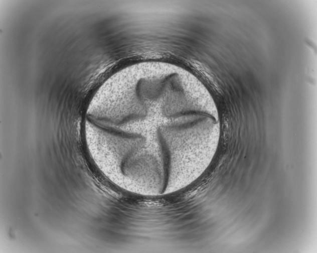 X0000094960596200712271721
