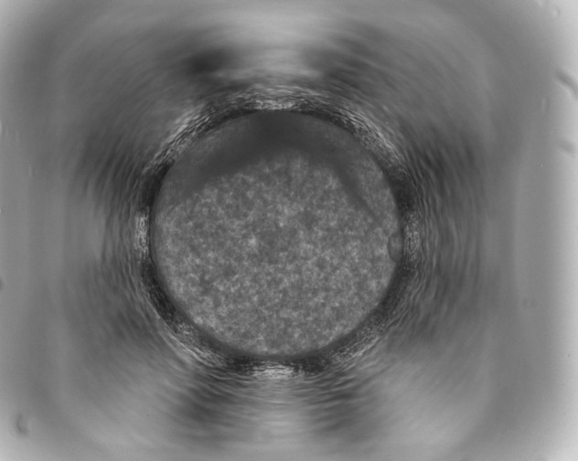 X0000094960598200712271721