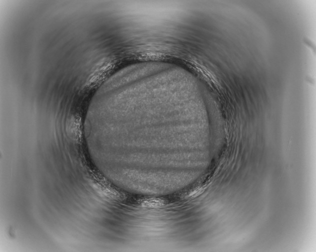 X0000094960599200712271721