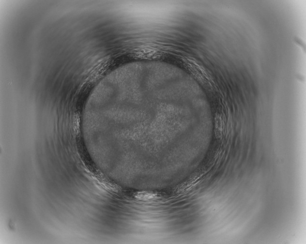 X0000094960602200712271721