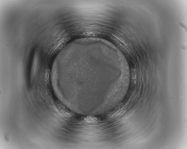 X0000094960603200712271721