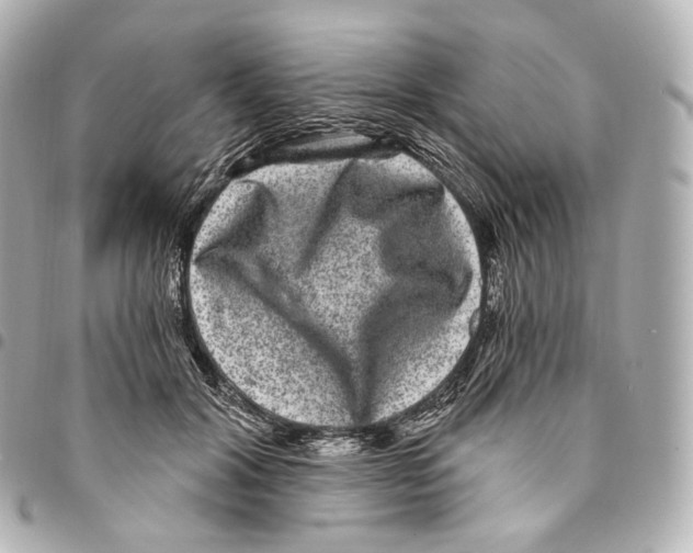 X0000094960604200712271721