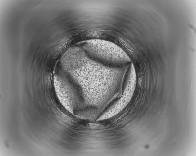 X0000094960605200712271721