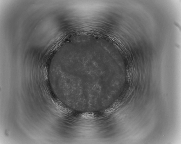 X0000094960606200712271721