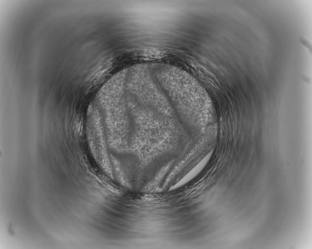 X0000094960608200712271721