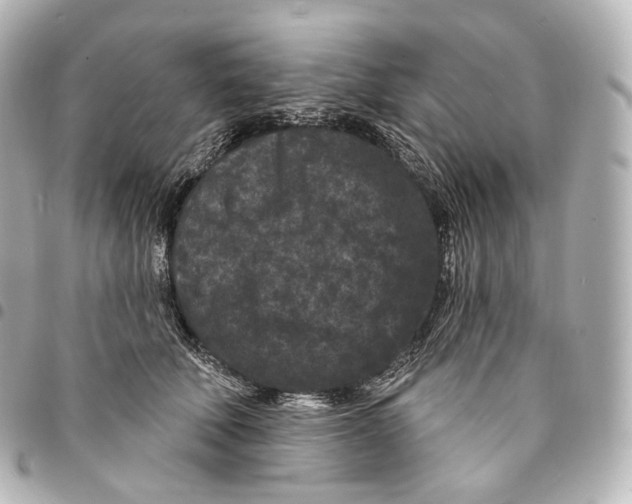 X0000094960610200712271721