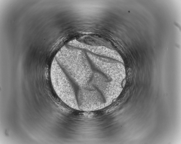 X0000094960612200712271721