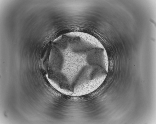 X0000094960613200712271721