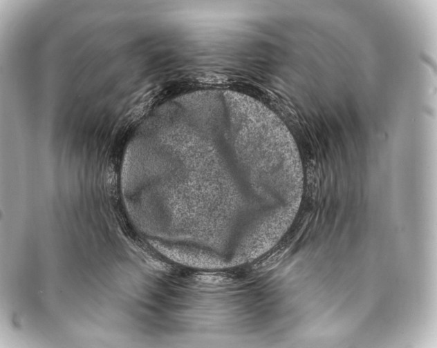 X0000094960614200712271721
