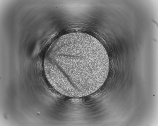 X0000094960615200712271721