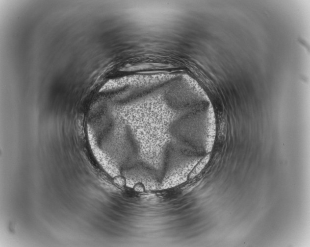 X0000094960616200712271721
