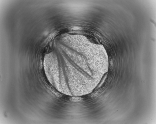 X0000094960617200712271721