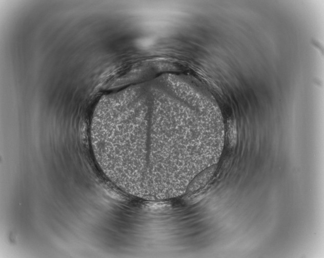 X0000094960619200712271721