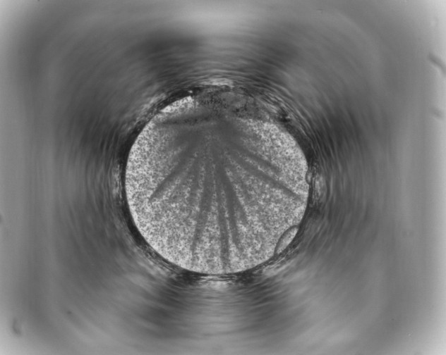 X0000094960620200712271721