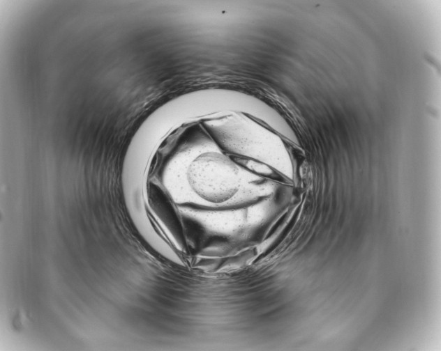 X0000094960621200712271721