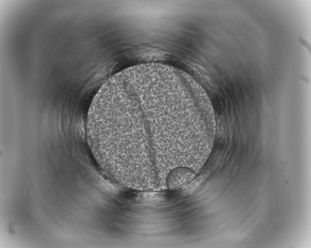 X0000094960622200712271721