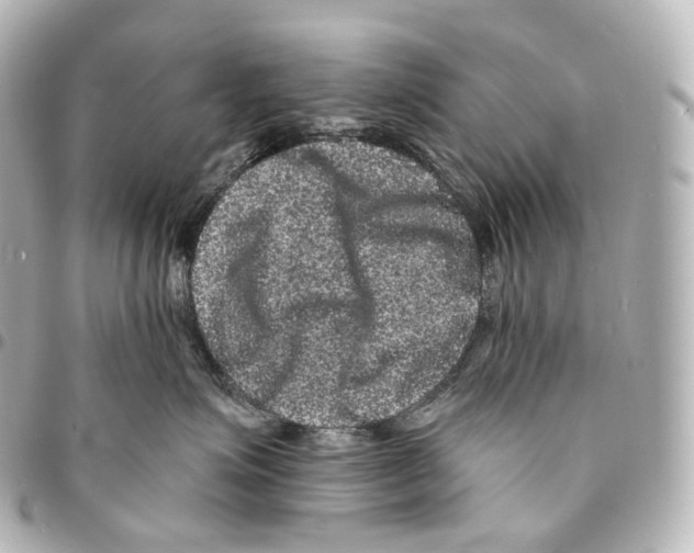 X0000094960623200712271721