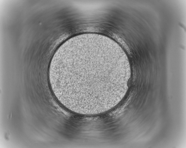 X0000094960625200712271720