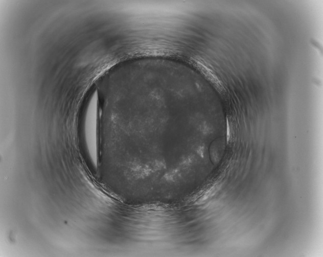 X0000094960627200712271720