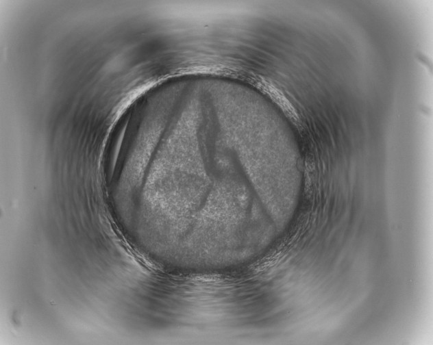 X0000094960628200712271720