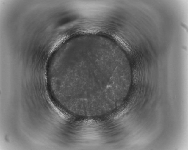 X0000094960634200712271720