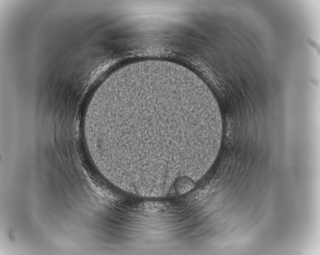 X0000094960636200712271720