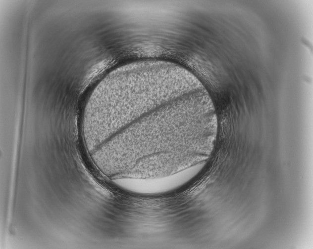 X0000094960638200712271720