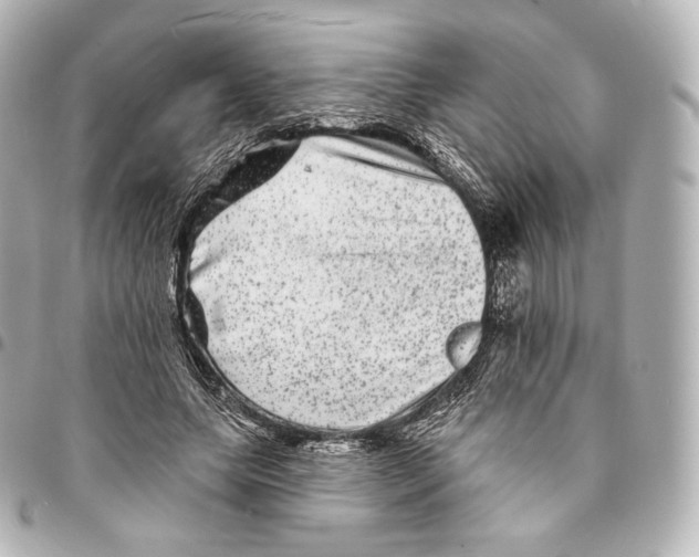 X0000094960639200712271720