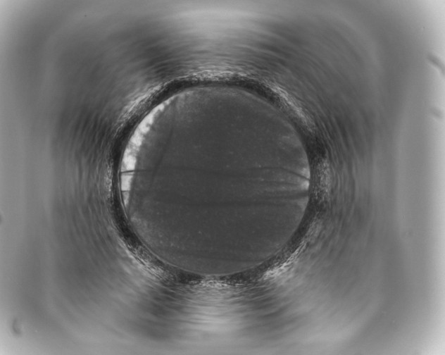 X0000094960640200712271720