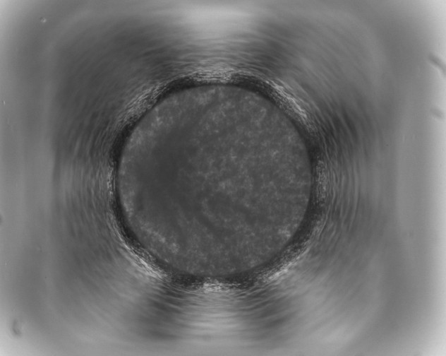 X0000094960641200712271720
