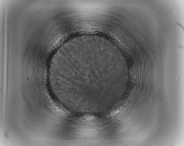 X0000094960642200712271720