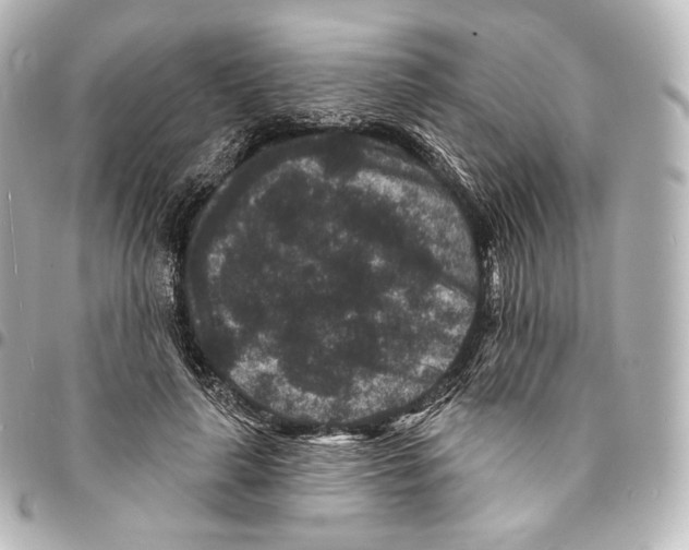 X0000094960643200712271720