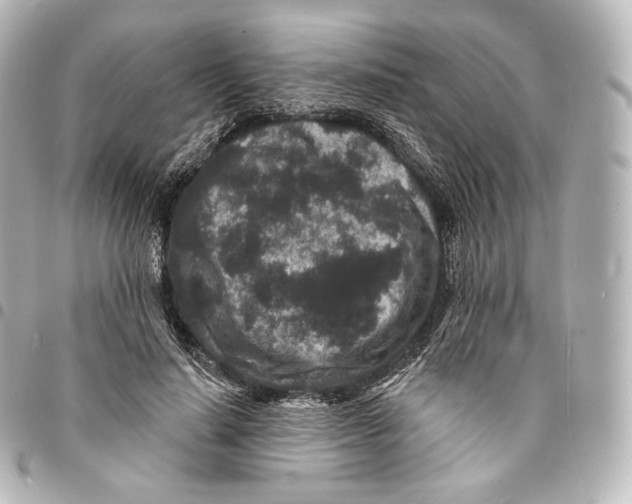 X0000094960644200712271720