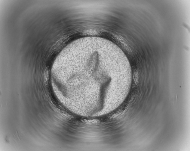 X0000094960645200712271720