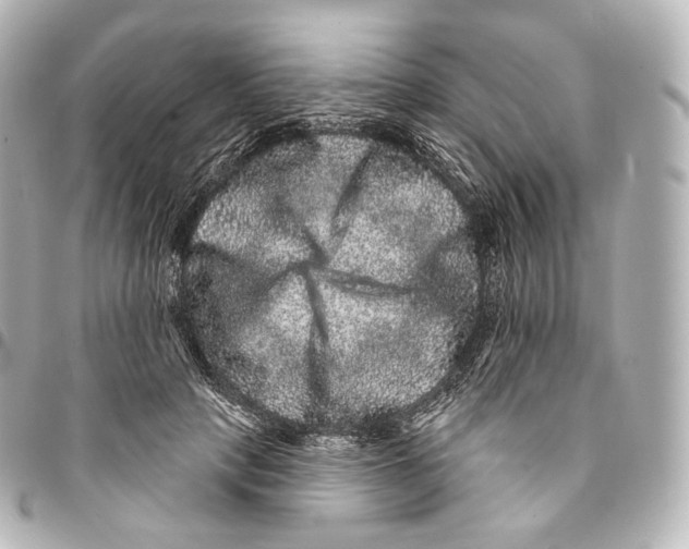 X0000094960649200712271720