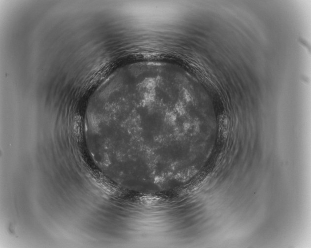 X0000094960650200712271720