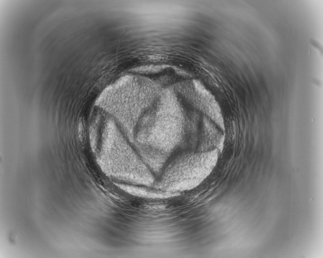 X0000094960651200712271720