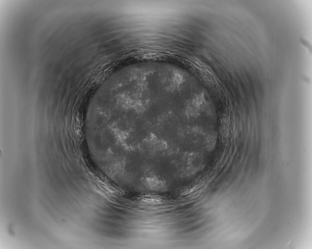 X0000094960653200712271720